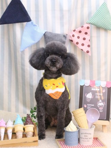 20250528ボーロくん